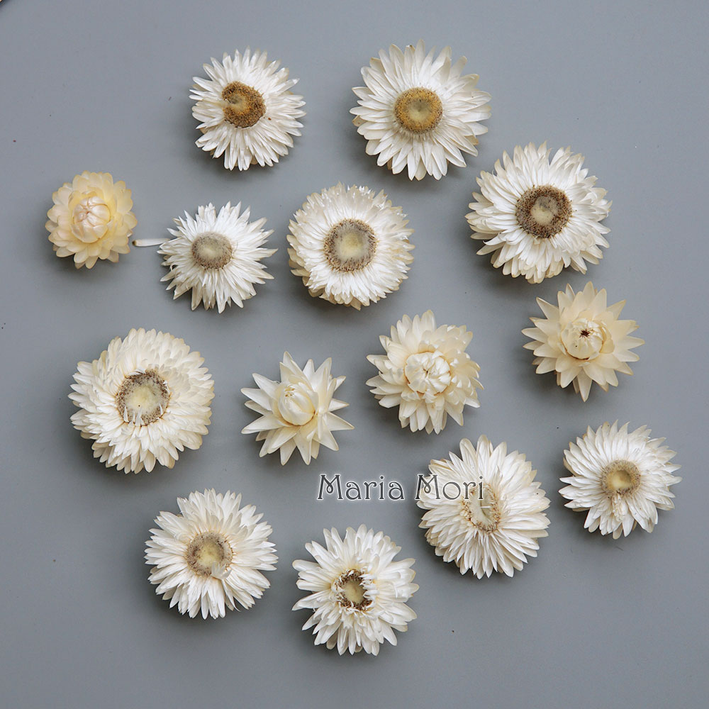 Baby Product - 天然のドライでカラフルな菊の花輪,手作りのヘアアクセサリー,樹脂製品,アロマテラピーキャンドル